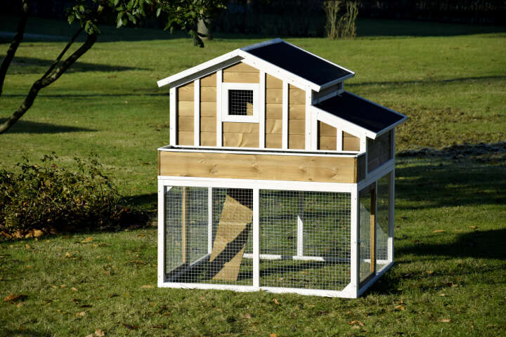 dobar Hühnerstall mit Gehege, Salatbeet, Legebox